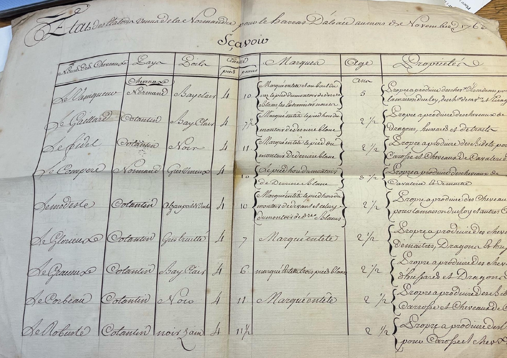 Archives nationales site de Paris, H4 – Fourniture de chevaux normands pour le haras de Strasbourg, 1763.